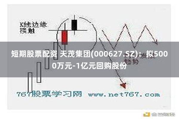 短期股票配资 天茂集团(000627.SZ)：拟5000万元-1亿元回购股份