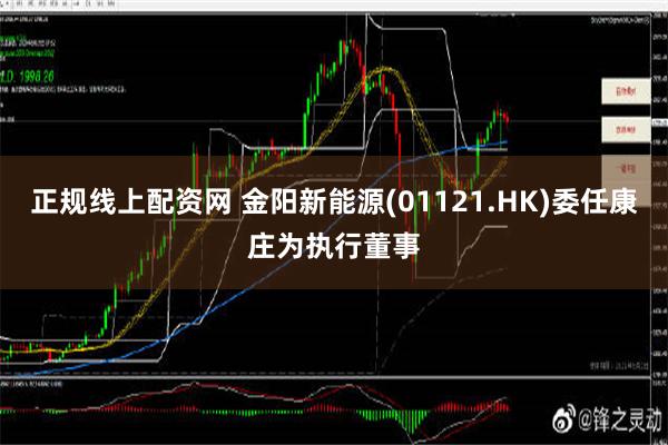 正规线上配资网 金阳新能源(01121.HK)委任康庄为执行董事