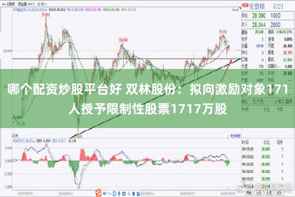 哪个配资炒股平台好 双林股份：拟向激励对象171人授予限制性股票1717万股