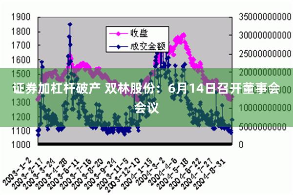 证券加杠杆破产 双林股份：6月14日召开董事会会议