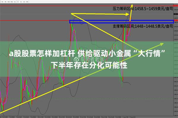 a股股票怎样加杠杆 供给驱动小金属“大行情” 下半年存在分化可能性