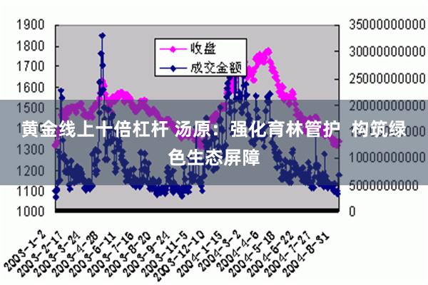 黄金线上十倍杠杆 汤原：强化育林管护  构筑绿色生态屏障