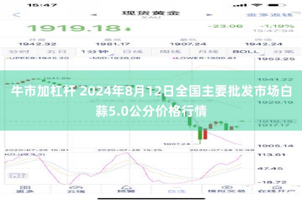 牛市加杠杆 2024年8月12日全国主要批发市场白蒜5.0公分价格行情