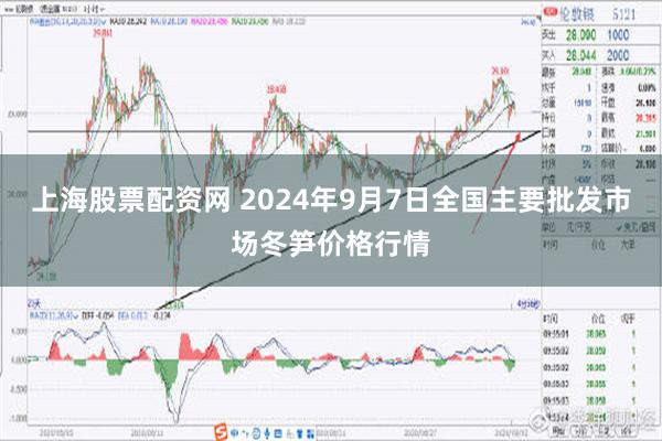 上海股票配资网 2024年9月7日全国主要批发市场冬笋价格行情