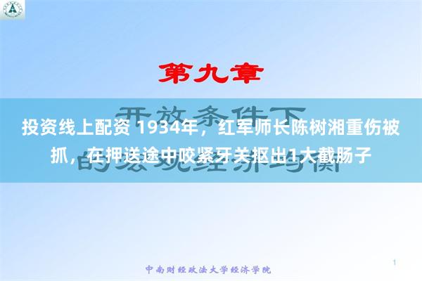 投资线上配资 1934年，红军师长陈树湘重伤被抓，在押送途中咬紧牙关抠出1大截肠