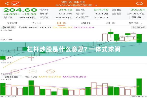 杠杆炒股是什么意思? 一体式球阀