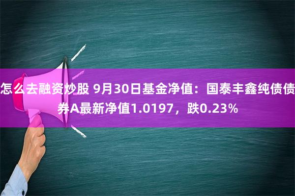 怎么去融资炒股 9月30日基金净值：国泰丰鑫纯债债券A最新净值1.0197，跌0