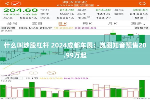 什么叫炒股杠杆 2024成都车展：岚图知音预售20.99万起