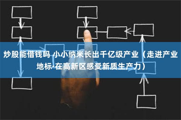 炒股能借钱吗 小小纳米长出千亿级产业（走进产业地标·在高新区感受新质生产力）