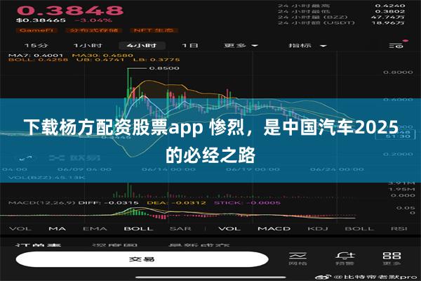 下载杨方配资股票app 惨烈，是中国汽车2025的必经之路