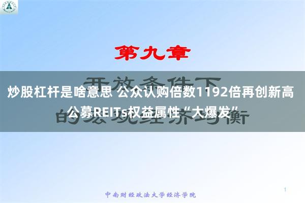 炒股杠杆是啥意思 公众认购倍数1192倍再创新高 公募REITs权益属性“大爆发